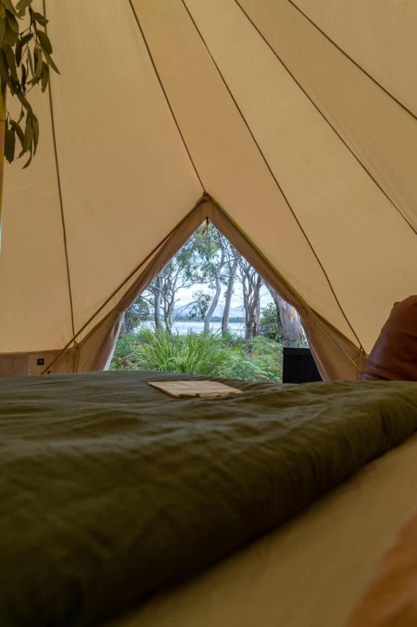Numie - Freycinet Peninsula - Glamping - Heated - Waterfront Hotel Coles Bay Bagian luar foto