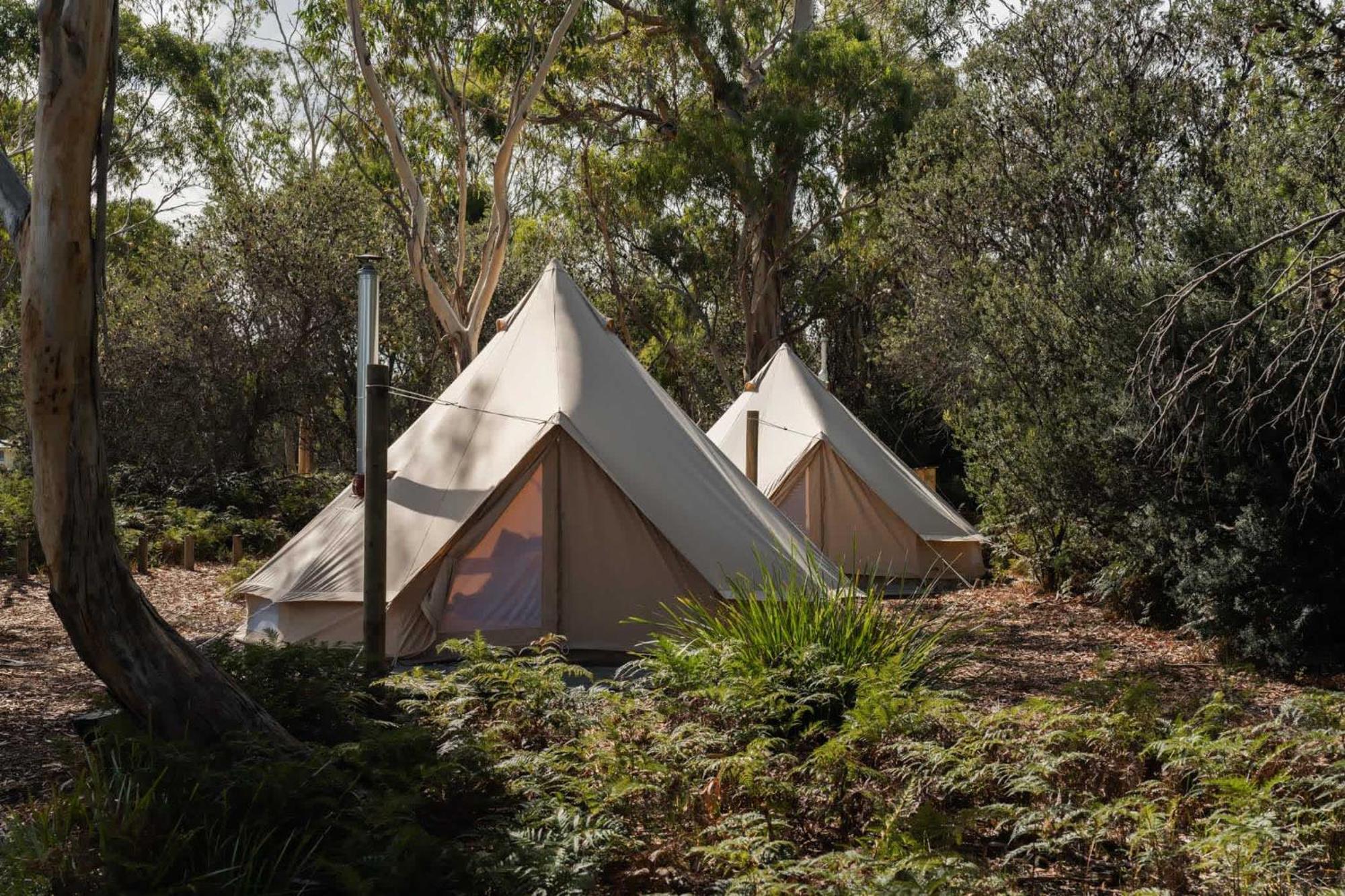 Numie - Freycinet Peninsula - Glamping - Heated - Waterfront Hotel Coles Bay Bagian luar foto