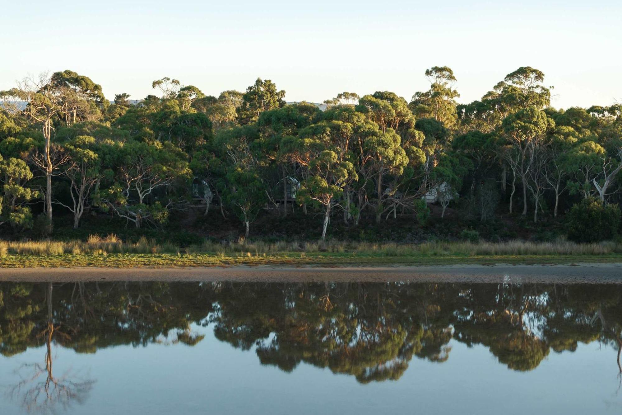 Numie - Freycinet Peninsula - Glamping - Heated - Waterfront Hotel Coles Bay Bagian luar foto