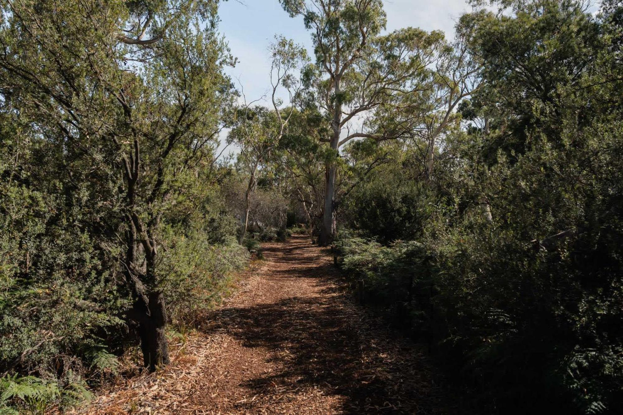 Numie - Freycinet Peninsula - Glamping - Heated - Waterfront Hotel Coles Bay Bagian luar foto