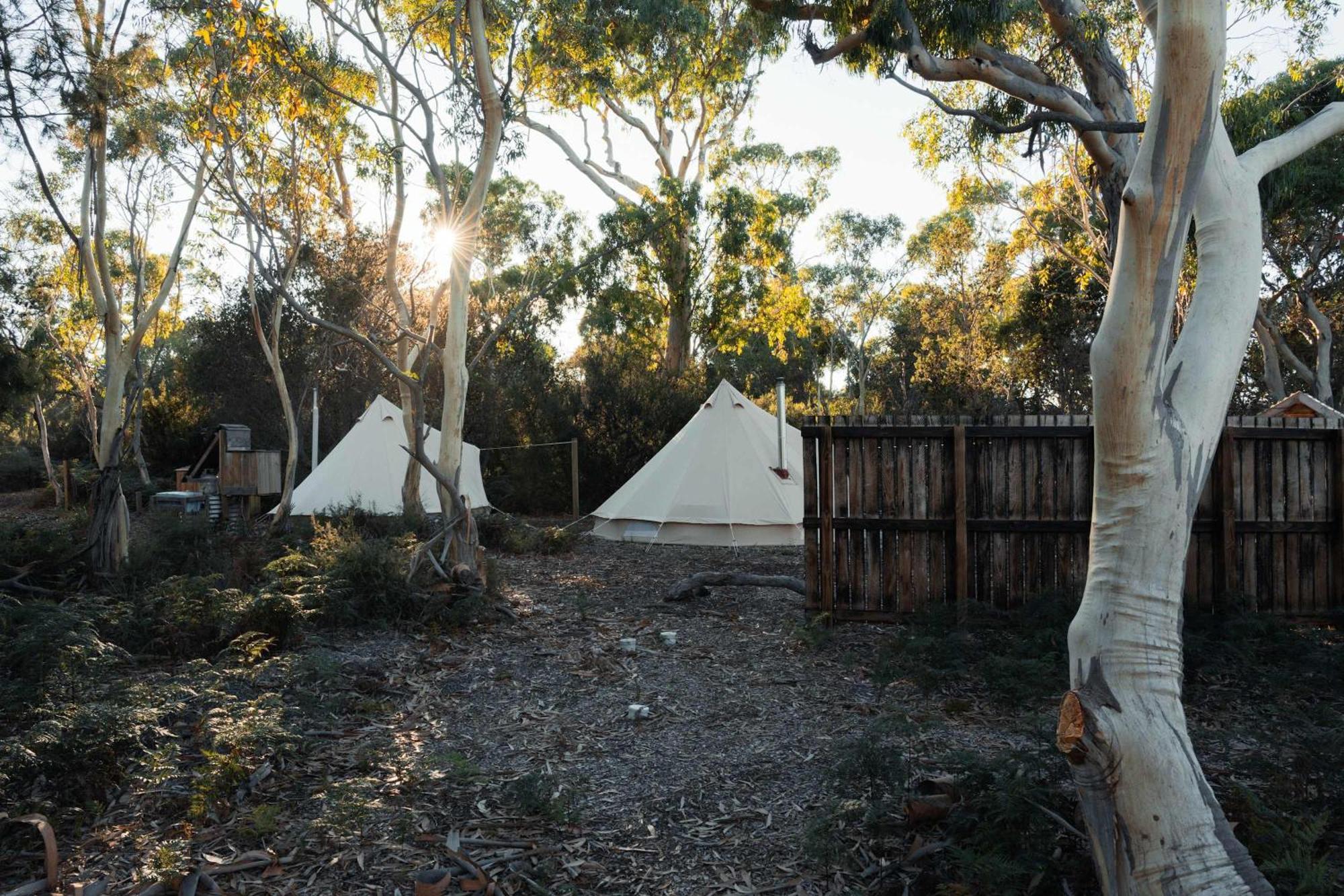 Numie - Freycinet Peninsula - Glamping - Heated - Waterfront Hotel Coles Bay Bagian luar foto
