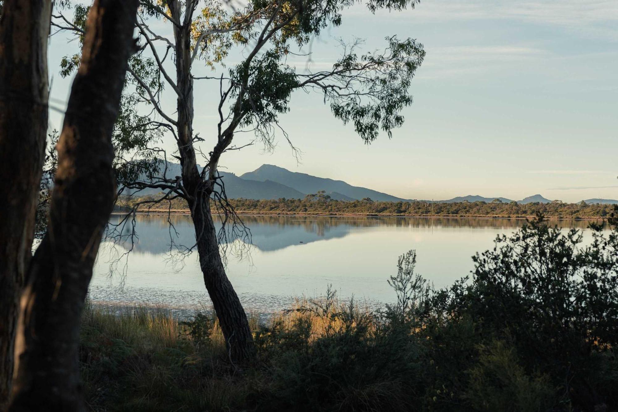 Numie - Freycinet Peninsula - Glamping - Heated - Waterfront Hotel Coles Bay Bagian luar foto