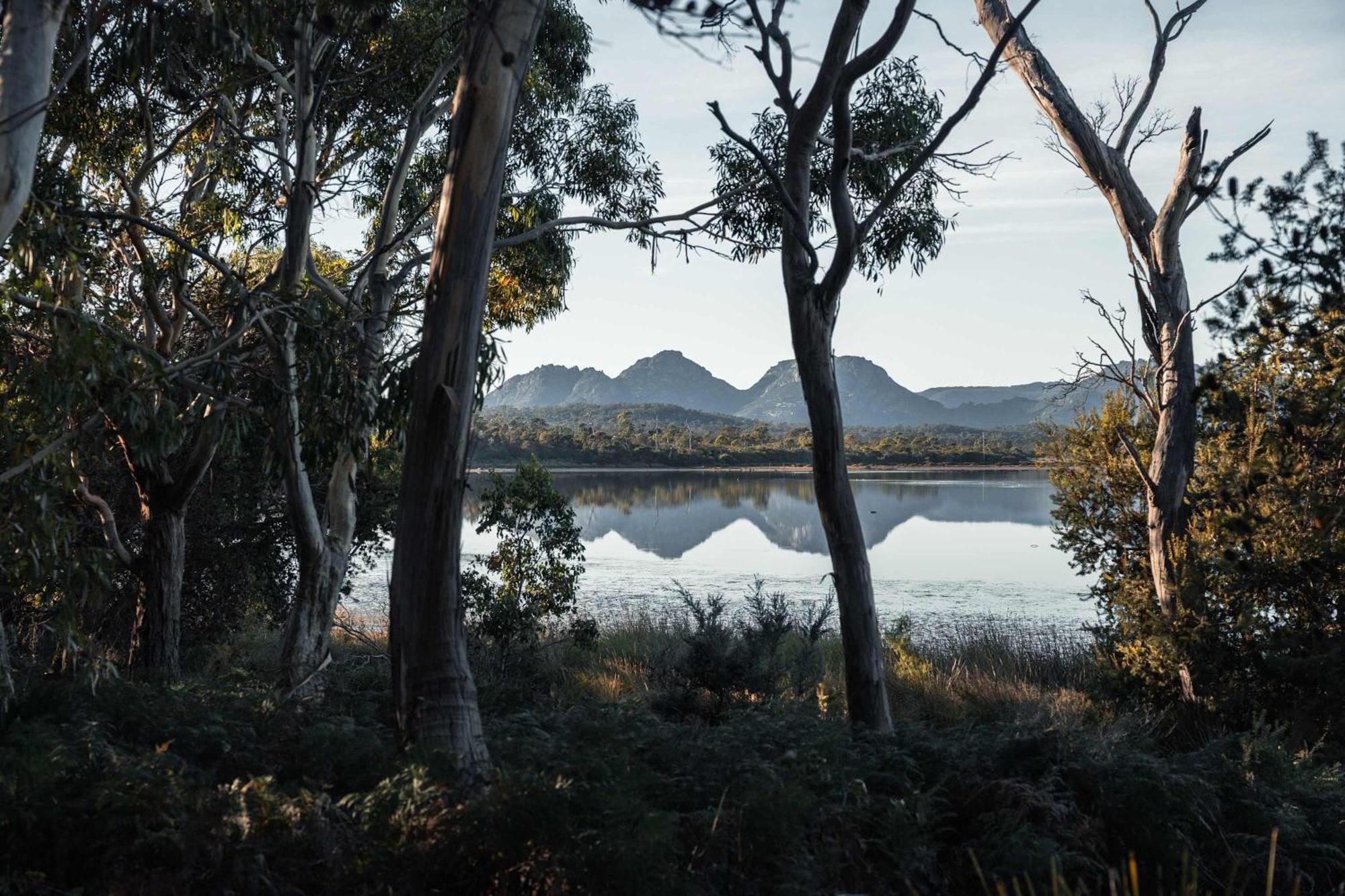 Numie - Freycinet Peninsula - Glamping - Heated - Waterfront Hotel Coles Bay Bagian luar foto