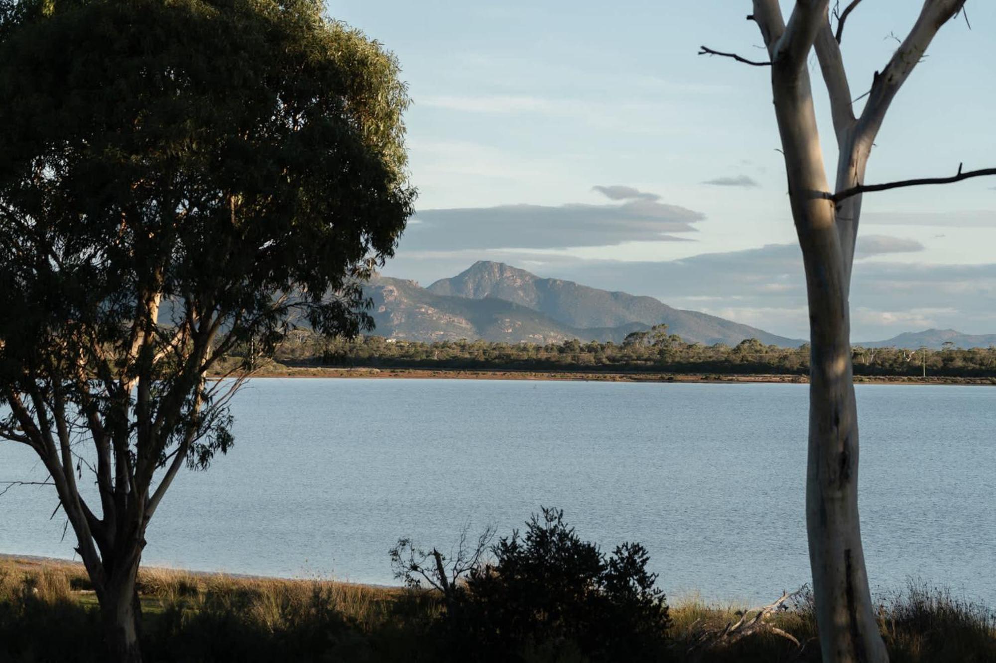 Numie - Freycinet Peninsula - Glamping - Heated - Waterfront Hotel Coles Bay Bagian luar foto