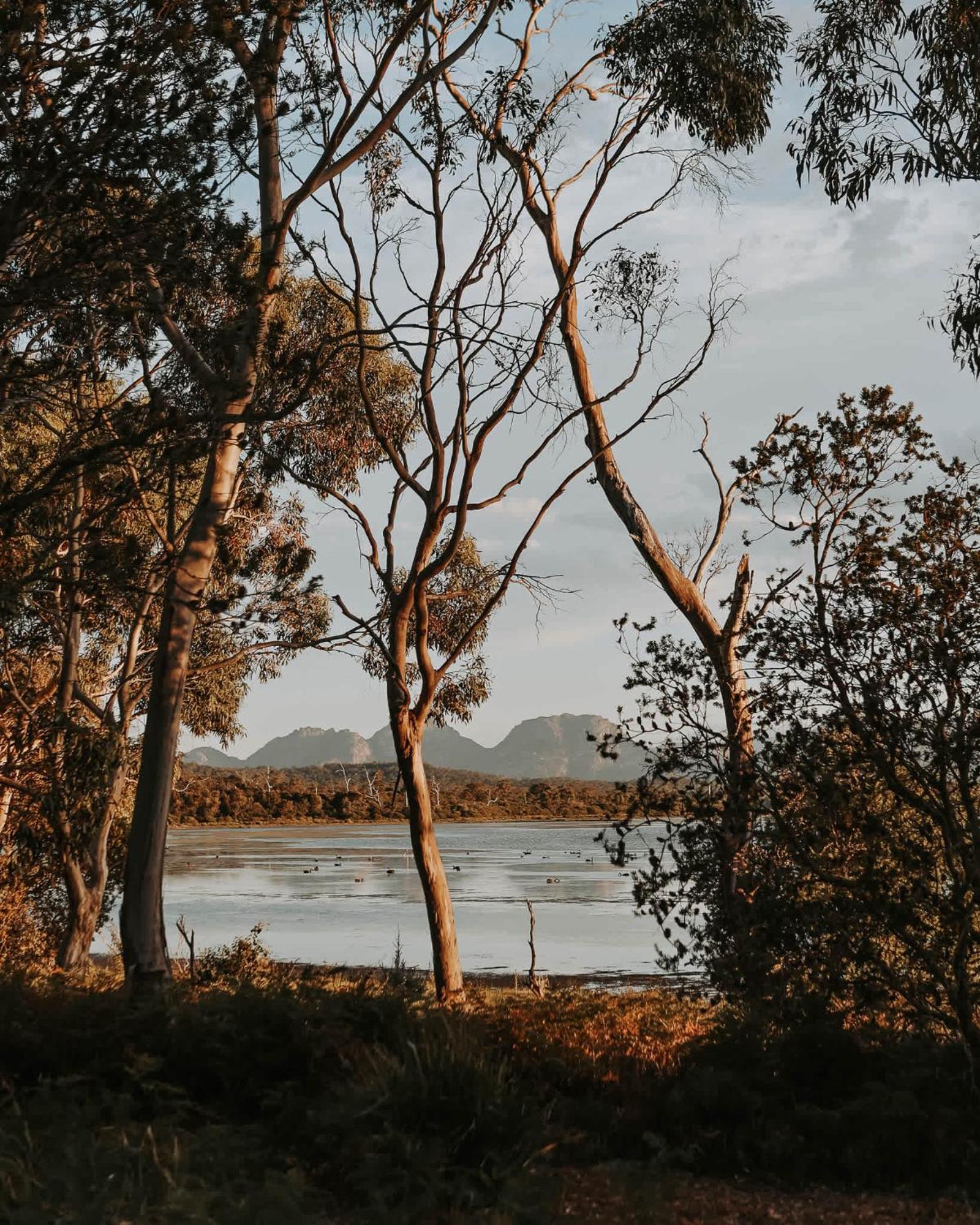 Numie - Freycinet Peninsula - Glamping - Heated - Waterfront Hotel Coles Bay Bagian luar foto